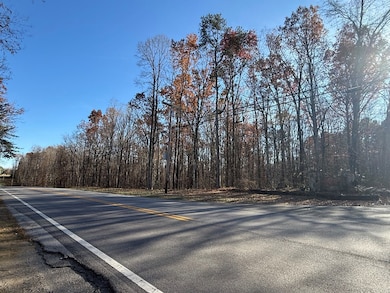 Lot 9 U S 70n, Monterey, TN 38574 - photo 4