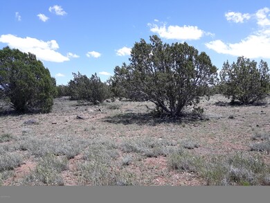 Lot 81 Juniperwood Ranch, Ash Fork, AZ 86320 - photo 5
