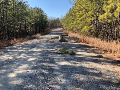 0 W C Spratt Dr unit 2202456, Caroline, VA 22546 - photo 4