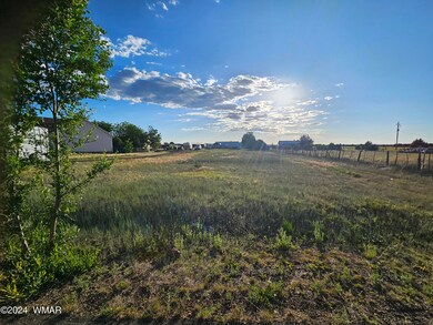 0 N 6th St, Show Low, AZ 85901 - photo 6