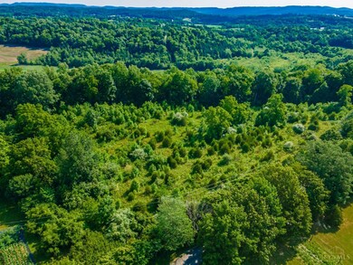 2175 Stoney Rd, Peebles, OH 45660 - photo 3