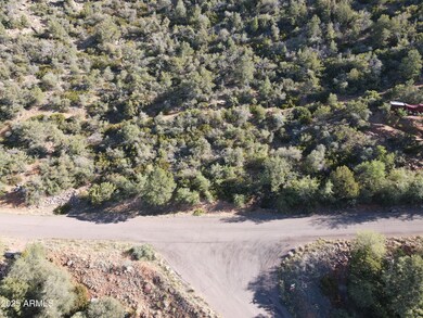 dji_fly_20250614_075338_855_174991282853
