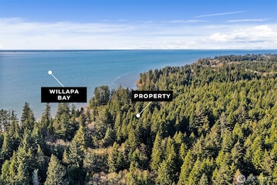 0 Lot 35 Bay Ln, South Bend, WA 98596 - photo 2