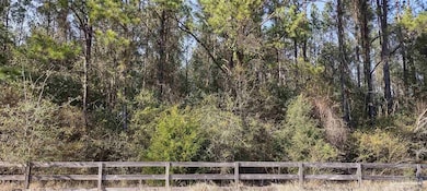 00 Hwy 31, Atmore, AL 36502 - photo 2