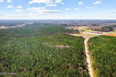 2-web-or-mls-DJI_0772