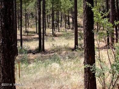 Good Tree Cover