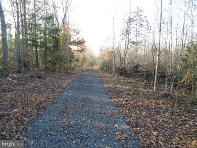 0 Grass Hopper Ln unit 1002425936, Unionville, VA 22567 - photo 3