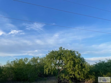 0 Fm 1732 unit 29751290, Olmito, TX 78520 - photo 6