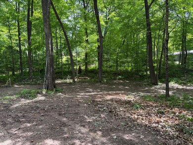 W2373 Blackhawk Rd, Sarona, WI 54870 - photo 7