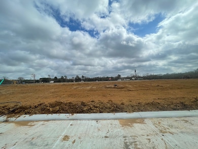 11651 Ruffian Dr, Willis, TX 77318 - photo 4