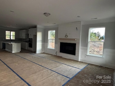 528 Cheryl Lynn Dr, Rock Hill, SC 29730 - photo 3