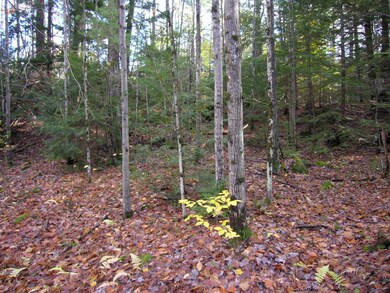 0 Ridge Rd unit 4516520, Newbury, NH 03255 - photo 5