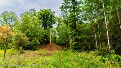 13505 7 Mile Rd, Evart, MI 49631 - photo 7