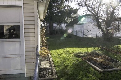 back yard