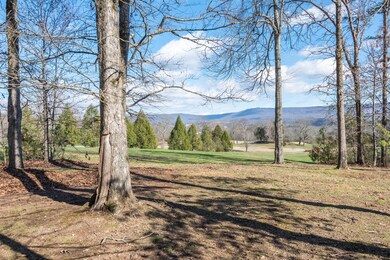 View from Back Yard