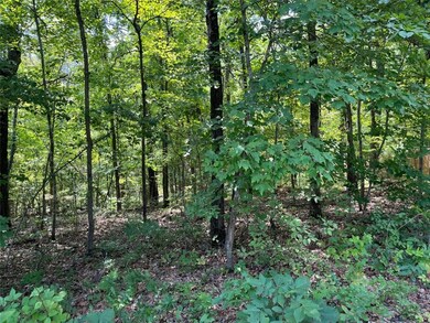 0 Burnham Dr, Bella Vista, AR 72715 - photo 4