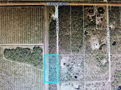 00 Carter Rd, Estero, FL 33928 - photo 2