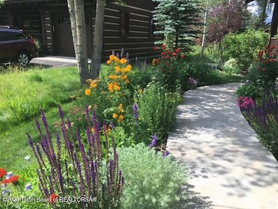 Summer Walkway