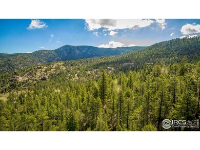 Privacy among the trees