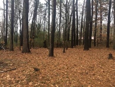 117 Brooker Dr, Dalton, GA 30721 - photo 5