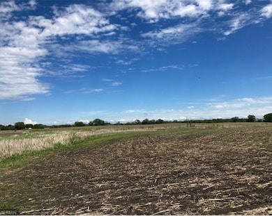 Lot 1 Minnesota 15, Brownton, MN 55312 - photo 3