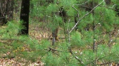 0 Fremont unit 1705842, Byron, WI 54660 - photo 7