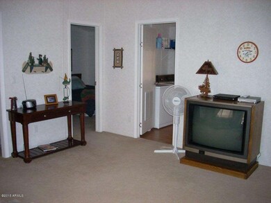 2054 Wilderness4