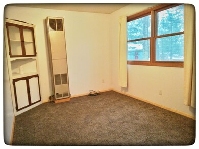 2301 Lincoln St, Bitely, MI 49309 - photo 5