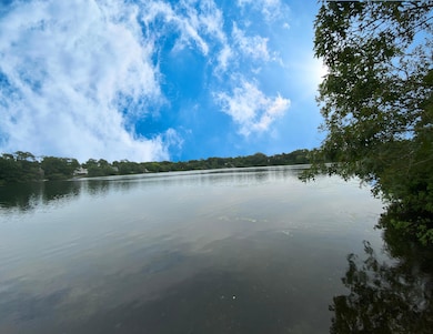 50 Hatch Way - Pond 3