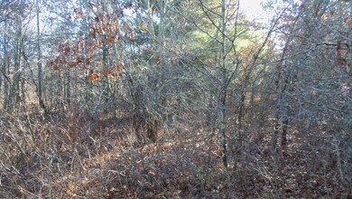 Lot 4 Mclain Rd, Grantsburg Township, WI 54840 - photo 5