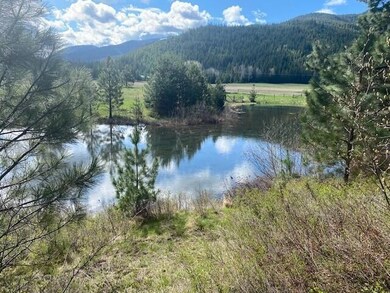 pond