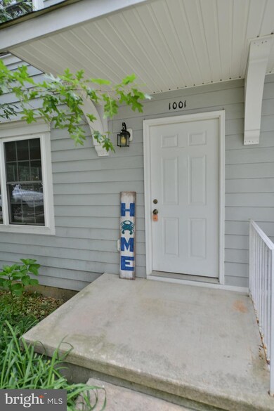 1001 Ridgeview Ave, Centreville, MD 21617 - photo 2