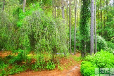 View--And THIS is your backyard!  A green nature p