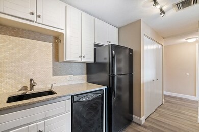 The Elms at Arbor Hill unit 510, South Weymouth, MA 02190 - photo 5