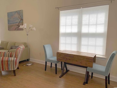 911 Algonquin Dr unit Pawleys Pavilion 911, Pawleys Island, SC 29585 - photo 5