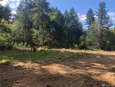 154 E Fox Run Ln, Grapeview, WA 98546 - photo 3