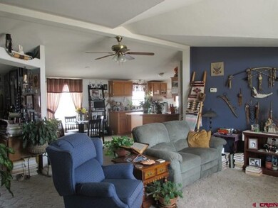 0 Hwy 491 unit 703163, Dolores, CO 81323 - photo 2