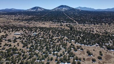 Photo_6553705_DJI_105_jpg_5859166_0_2021