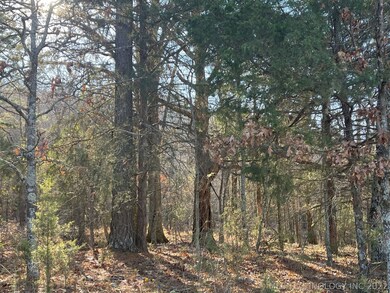 329 Bailey Blvd, Tahlequah, OK 74464 - photo 5