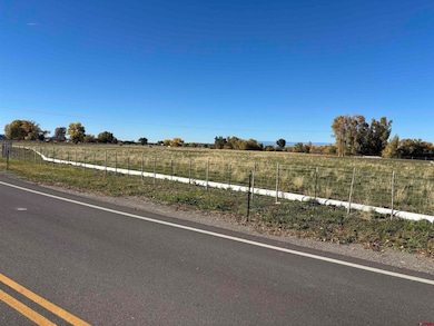 TBD Highway 550, Montrose, CO 81403 - photo 3