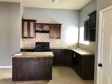 14278 Desert Cactus Dr, Horizon City, TX 79928 - photo 4