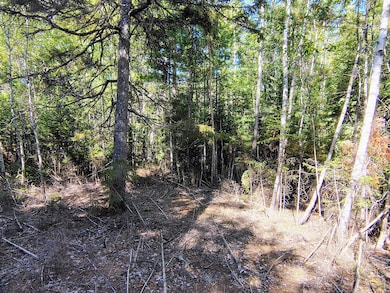 0 Us Route 1 unit 1637801, Milbridge, ME 04658 - photo 2