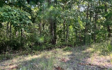 Additional View