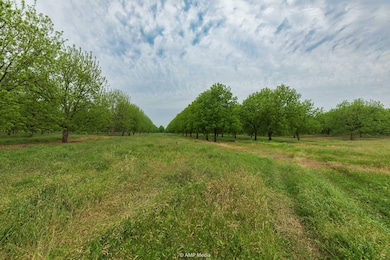 0 Bayou St, Brownwood, TX 76801 - photo 2