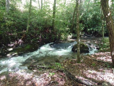 Large rushing creek. Approx. 800 feet on Creek.