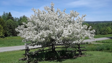 100 Derby Gore Rd, West Charleston, VT 05872 - photo 2
