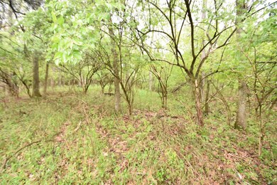 Tract 3 at Dean Rd, Harrodsburg, KY 40330 - photo 5