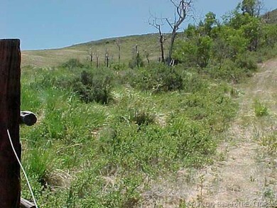 Land/Lot.