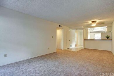New carpet and fresh paint in the living room. The