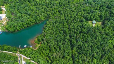 Cove-View-Wooded-Lot.jpg